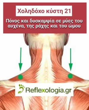 Χοληδόχος Κύστη 21